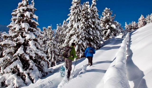  Raquetas de nieve para todos
